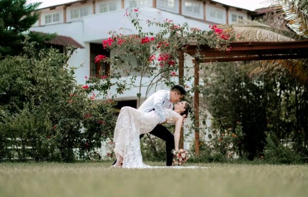 Andrea Aranda Wedding Planner