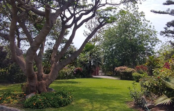 Hermosas y Exclusivas Locaciones para eventos en Cieneguilla