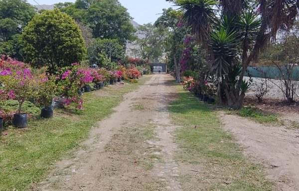 Hermosas y Exclusivas Locaciones para eventos en Cieneguilla